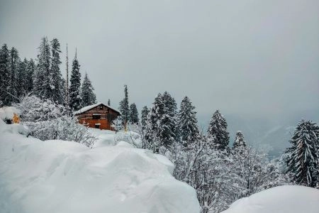 Delhi to Manali Volvo Bus Tour