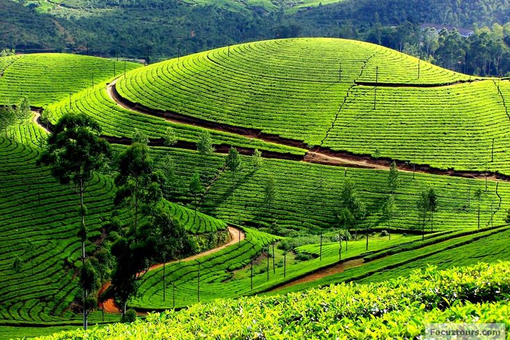 Ooty Tamilnadu Tour